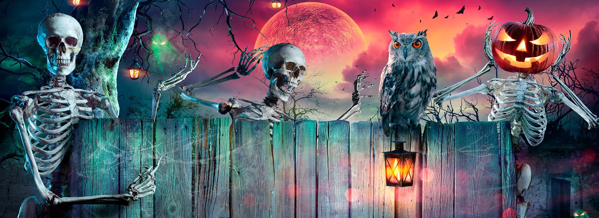 Halloween Prop Hire Northern Ireland